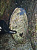 IMG_4190.JPG