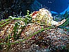 IMG_4191.JPG