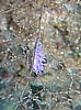 IMG_4193.JPG
