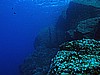 IMG_4197.JPG