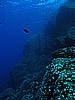 IMG_4198.JPG
