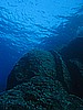 IMG_4199.JPG