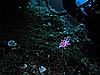 IMG_4201.JPG