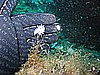 IMG_4205.JPG