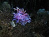 IMG_4209.JPG