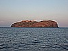 IMG_4224.JPG