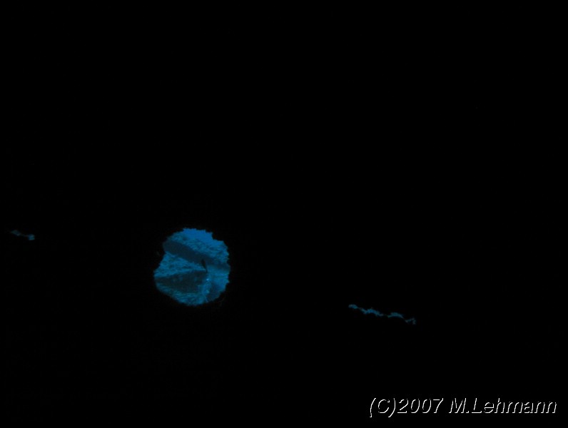 IMG_4316.JPG