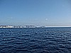 IMG_4227.JPG