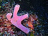 IMG_4242.JPG