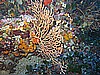 IMG_4244.JPG
