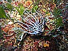 IMG_4245.JPG