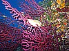 IMG_4246.JPG