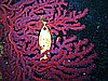 IMG_4247.JPG