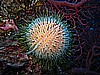 IMG_4248.JPG