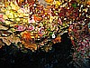 IMG_4255.JPG