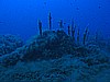 IMG_4256.JPG