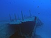IMG_4274.JPG