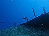 IMG_4281.JPG