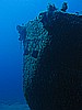 IMG_4291.JPG