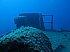 IMG_4307.JPG
