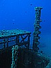 IMG_4313.JPG