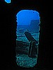 IMG_4315.JPG