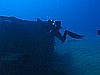 IMG_4319.JPG