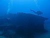 IMG_4323.JPG