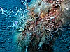 IMG_4330.JPG