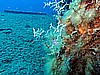 IMG_4331.JPG
