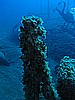 IMG_4337.JPG