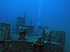 IMG_4340.JPG