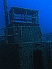 IMG_4345.JPG