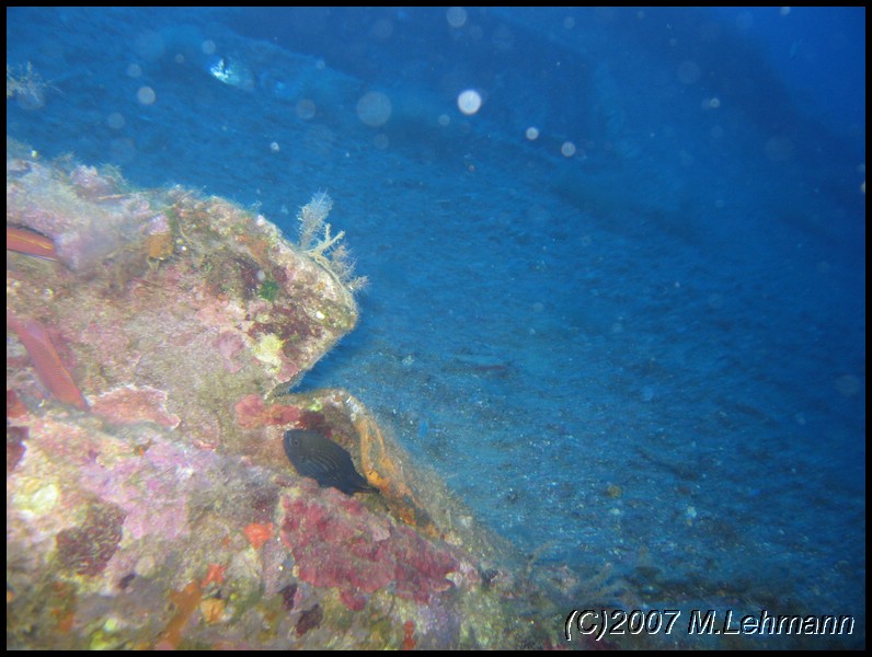 IMG_4391.JPG