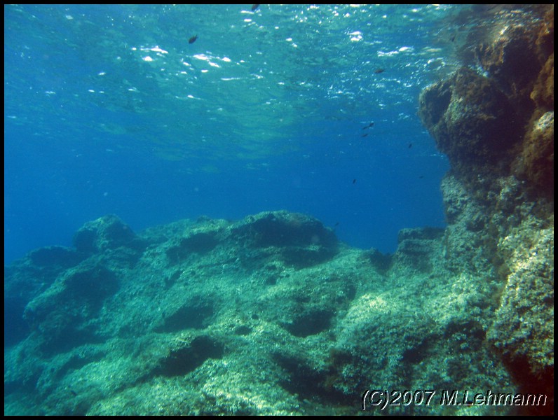 IMG_4409.JPG