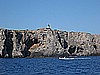 IMG_4380.JPG