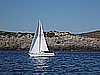 IMG_4382.JPG