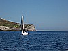 IMG_4383.JPG