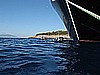 IMG_4384.JPG