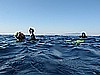 IMG_4385.JPG