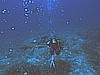 IMG_4386.JPG