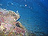 IMG_4391.JPG