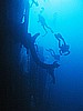 IMG_4397.JPG