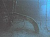 IMG_4398.JPG