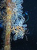 IMG_4399.JPG