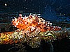 IMG_4401.JPG