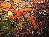 IMG_4403.JPG