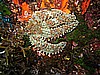 IMG_4406.JPG