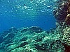 IMG_4409.JPG
