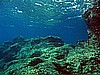 IMG_4410.JPG